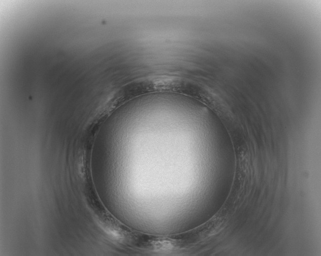 X0000067470698200604142350