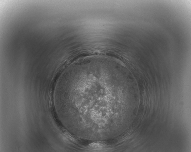 X0000067470699200604142350