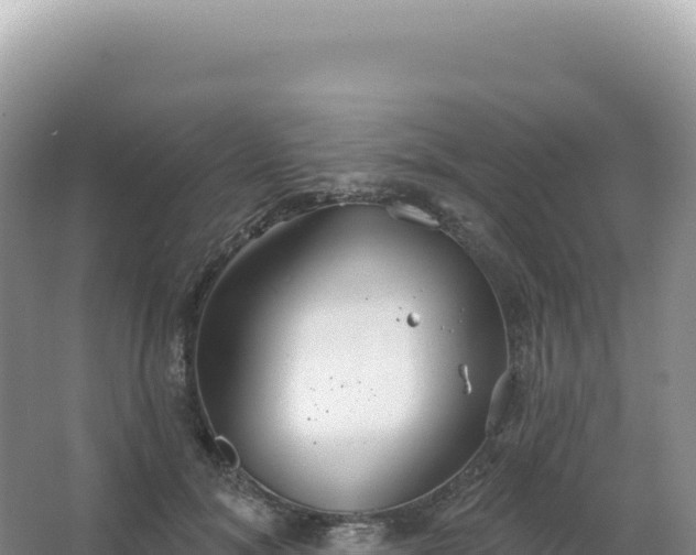 X0000067470700200604142350