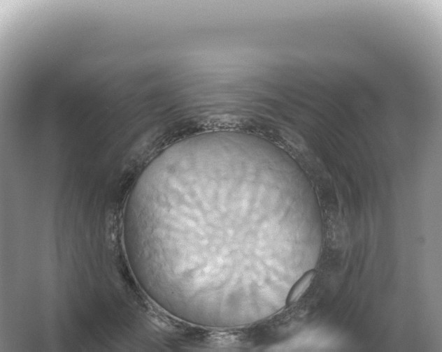 X0000067470701200604142350