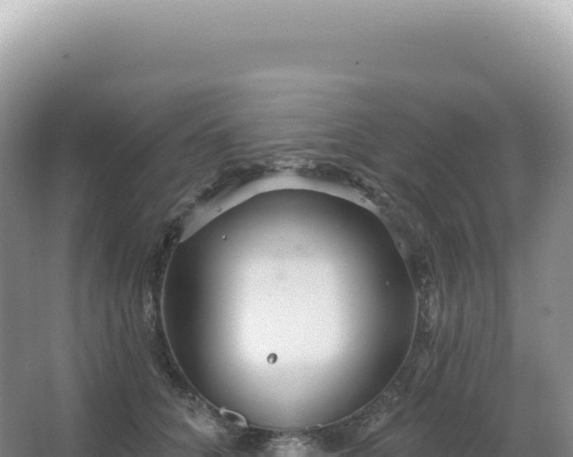 X0000067470704200604142350