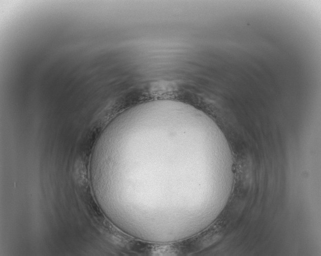 X0000067470705200604142350