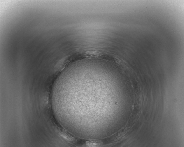 X0000067470706200604142350