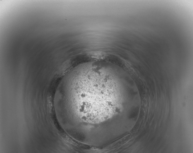 X0000067470707200604142350