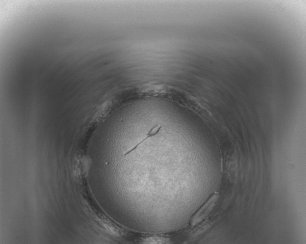 X0000067470708200604142350