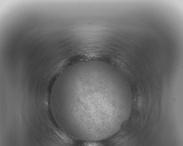 X0000067470710200604142350