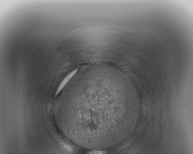 X0000067470711200604142350