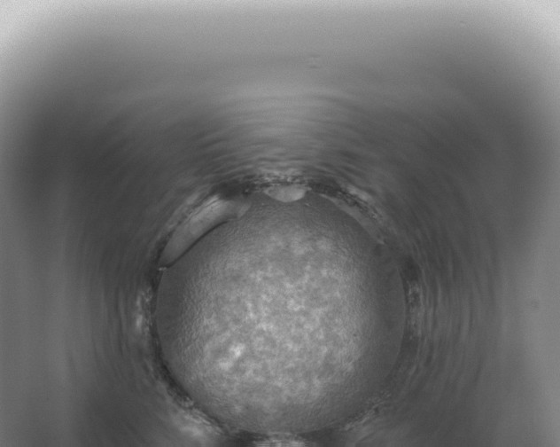 X0000067470712200604142350