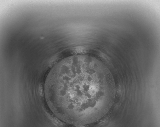 X0000067470715200604142350