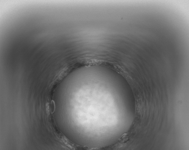 X0000067470716200604142350