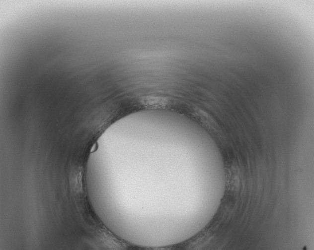 X0000067470717200604142350