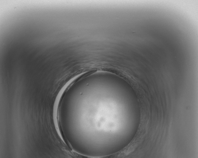 X0000067470720200604142350