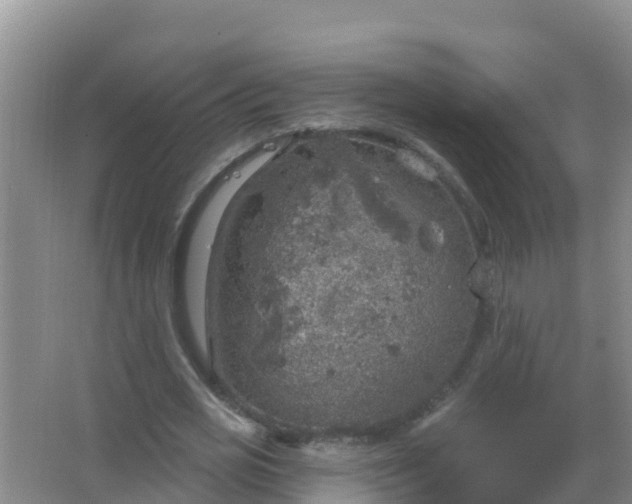 X0000067470725200604142349