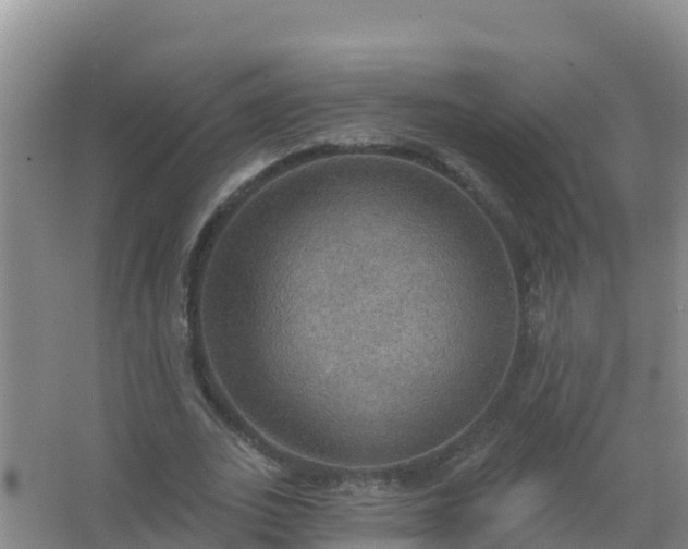 X0000067470727200604142349