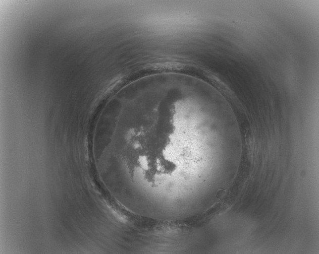 X0000067470729200604142349