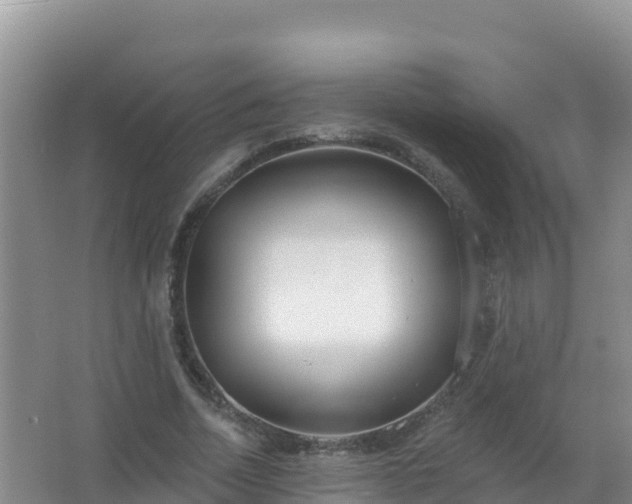 X0000067470730200604142349