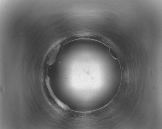 X0000067470732200604142350