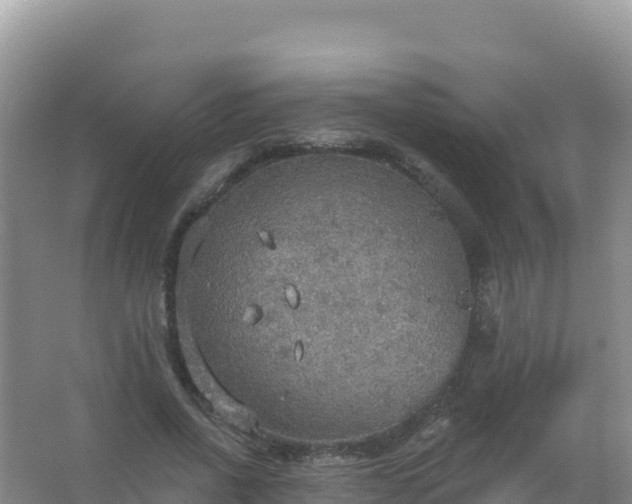 X0000067470734200604142350