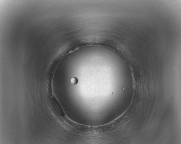 X0000067470735200604142350