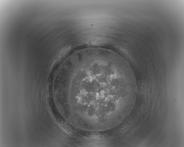 X0000067470738200604142350