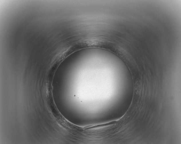 X0000067470740200604142350