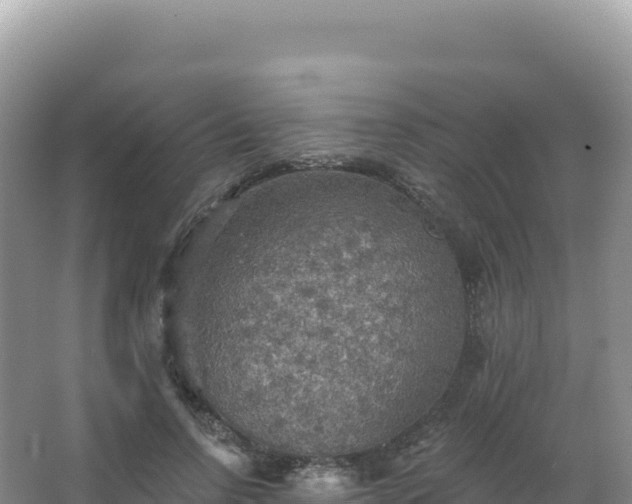 X0000067470742200604142350