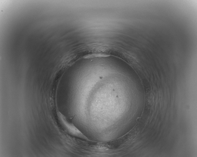 X0000067470743200604142350