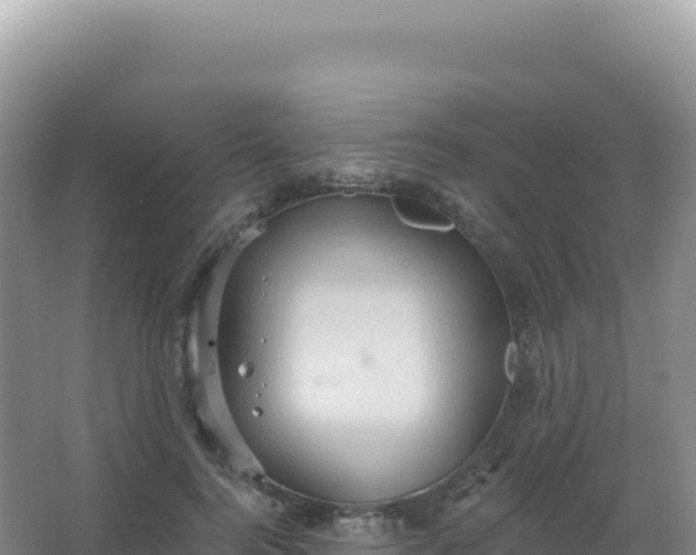 X0000067470744200604142350