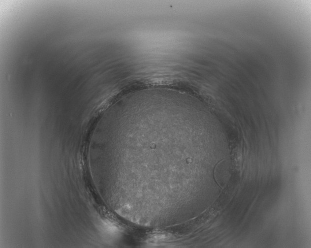 X0000067470746200604142350