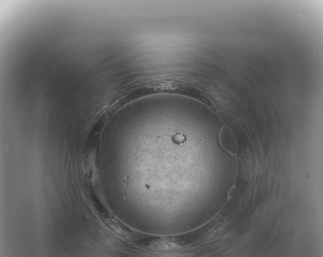 X0000067470747200604142350