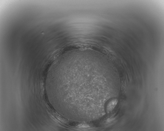 X0000067470749200604142350