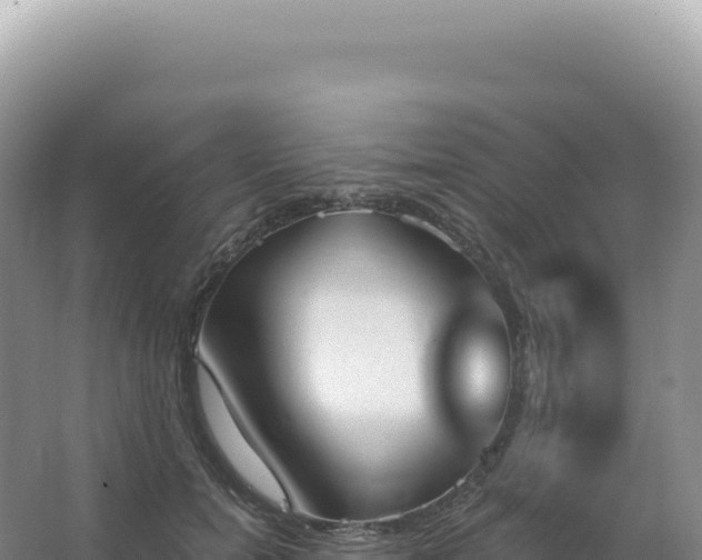 X0000067470750200604142350