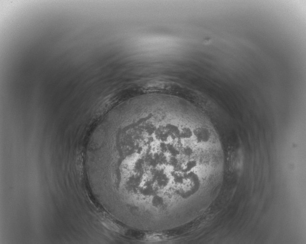 X0000067470753200604142350