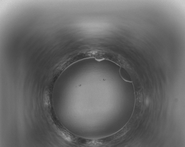 X0000067470754200604142350