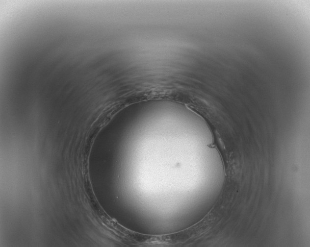 X0000067470756200604142350