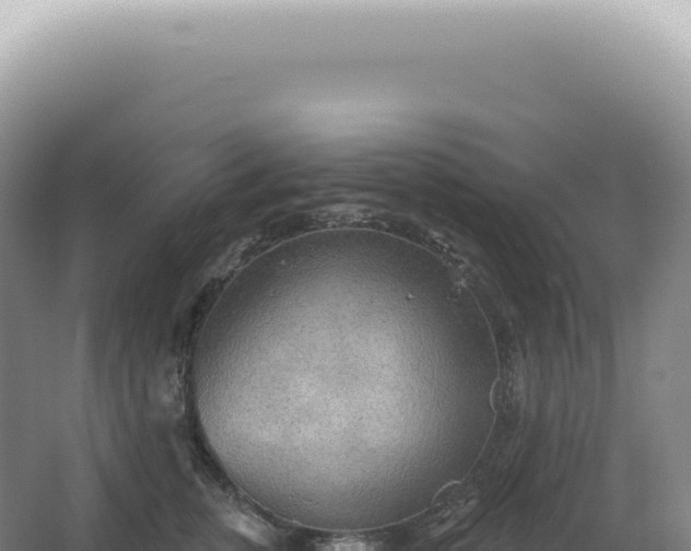 X0000067470759200604142350