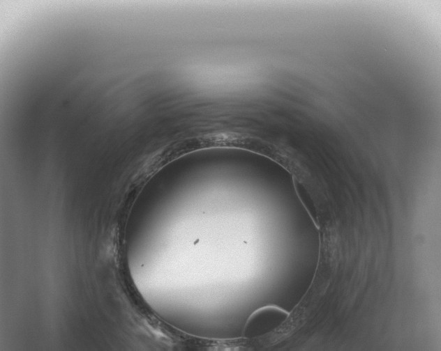 X0000067470760200604142350