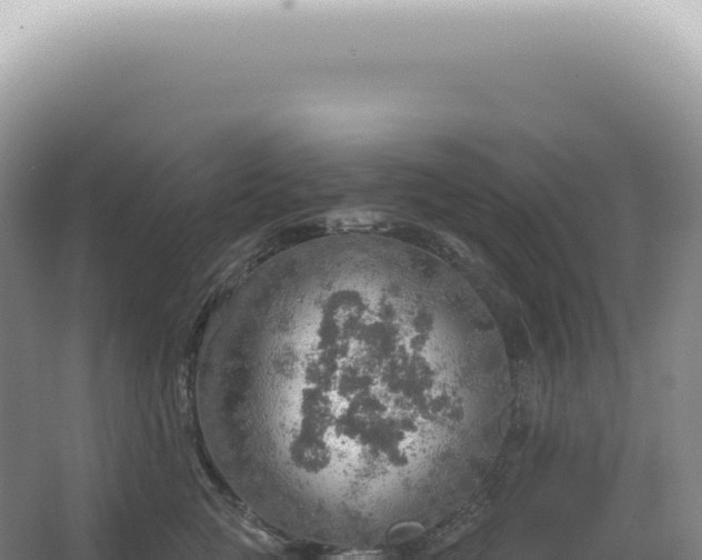 X0000067470761200604142350