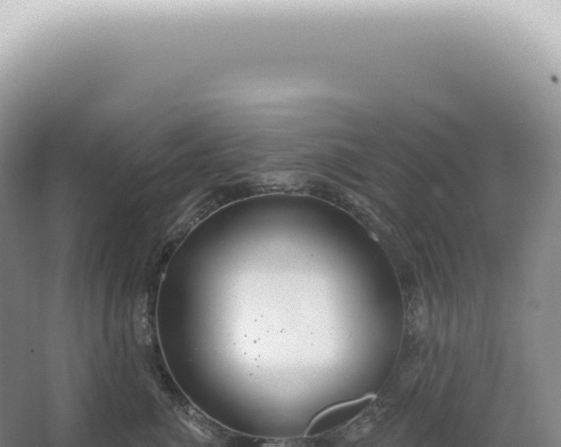 X0000067470764200604142350