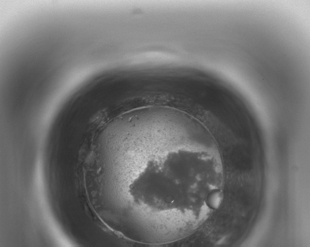 X0000067470765200604142350