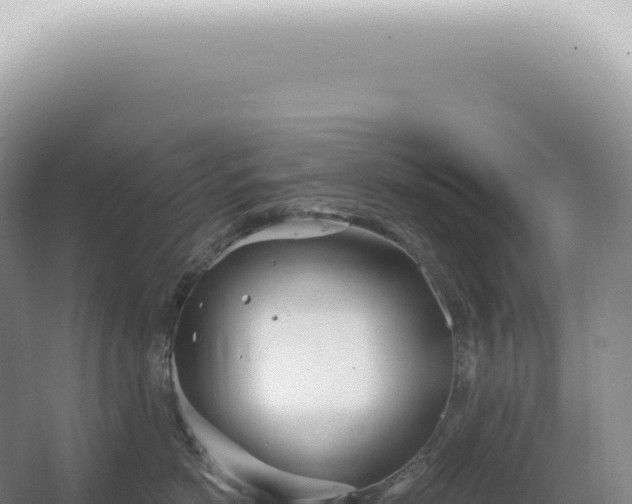 X0000067470766200604142350