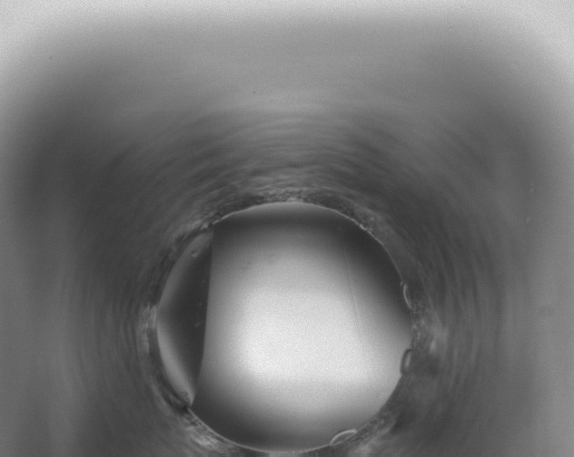 X0000067470767200604142350