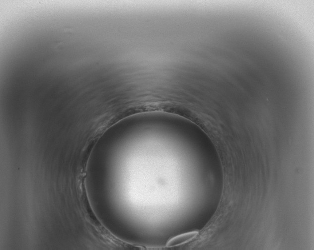 X0000067470768200604142350