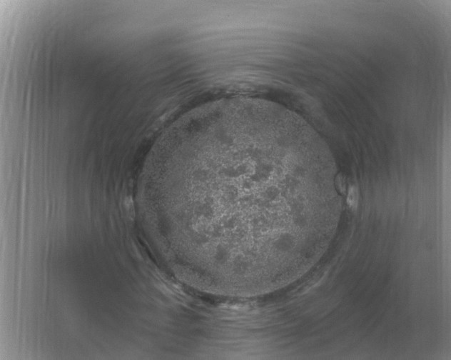 X0000067470771200604142349