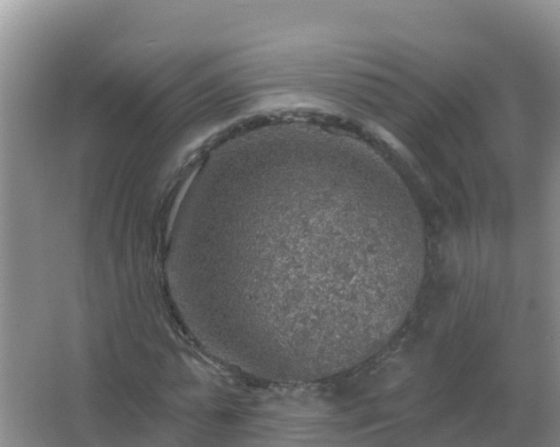 X0000067470775200604142349