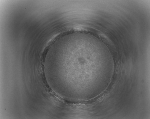 X0000067470776200604142349