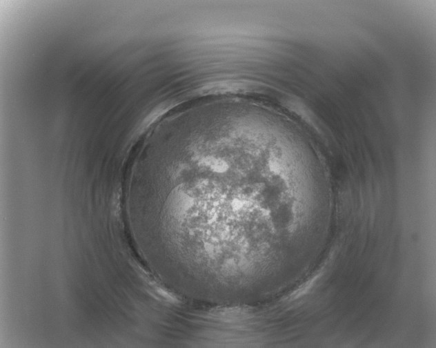 X0000067470778200604142349