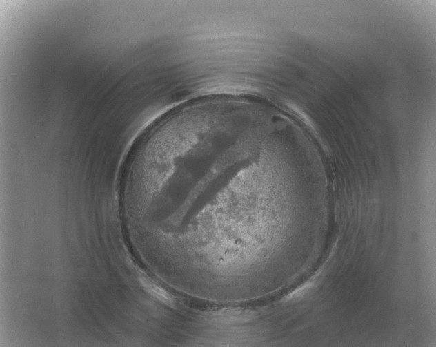 X0000067470779200604142349