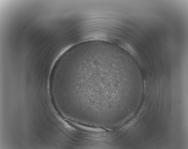 X0000067470780200604142349