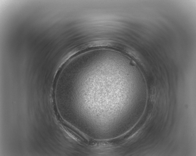 X0000067470786200604142349